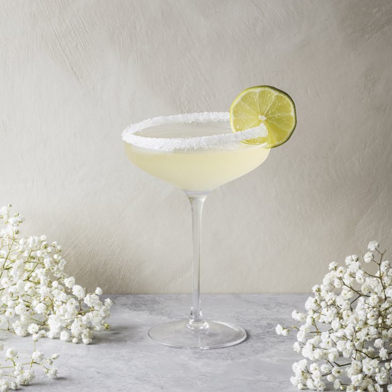 Shallow-bowl champagne coupe · HJ-014