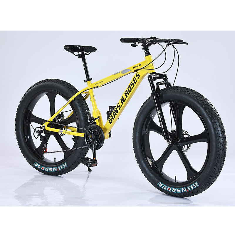 Discover non-folding fat-tyre bicycle · PX-026